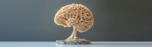 Lion’s Mane Mushroom: A Natural Ally for Brain Health