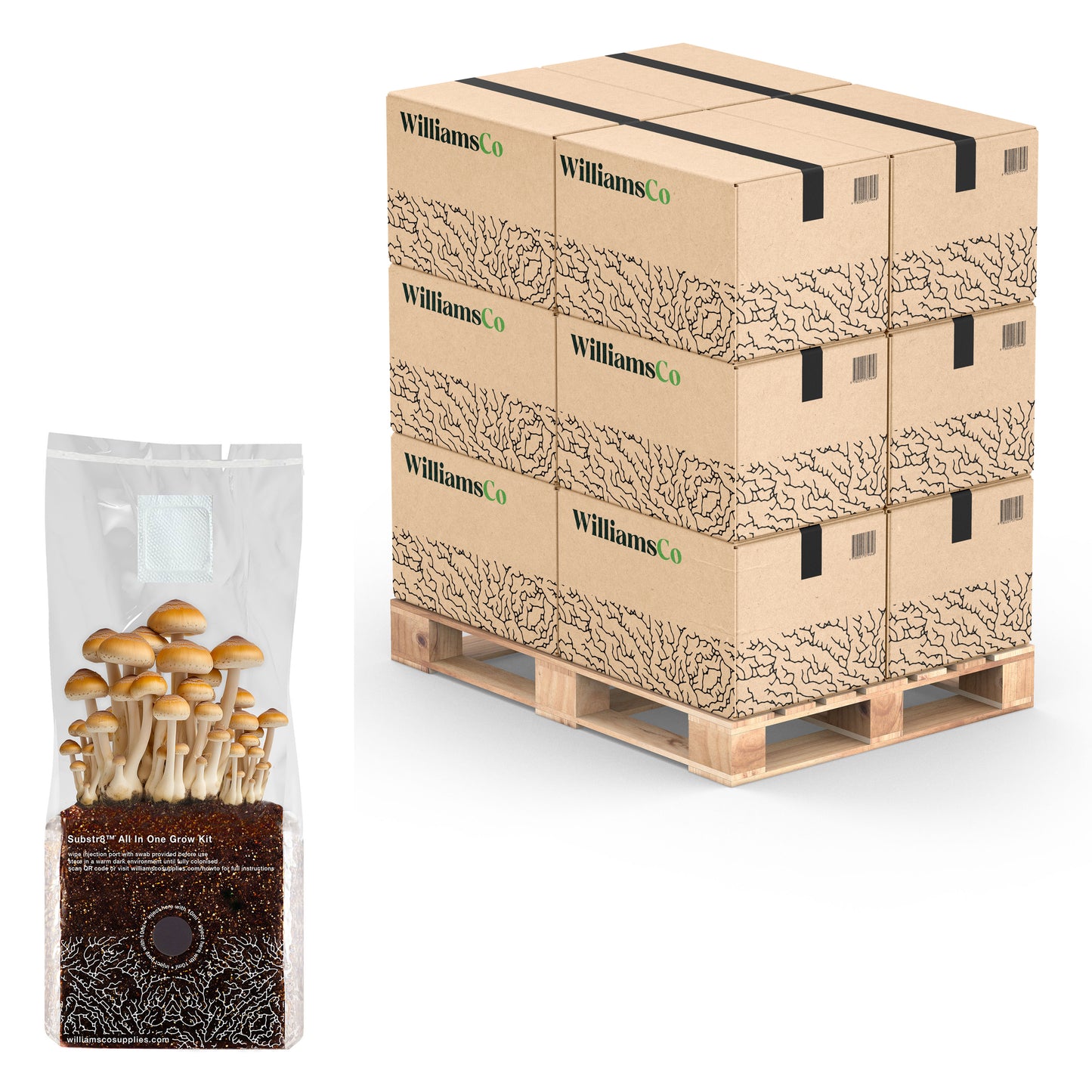 Wholesale 1.5KG Substr8™ Mushroom Growing Kit | SAVE UP TO 50%