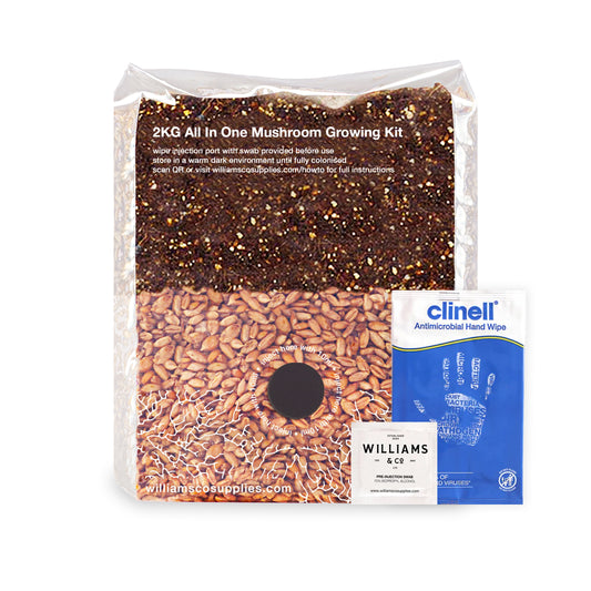 2KG All In One Mushroom Growing Kit - Complete Setup | Grain + Substrate Included UK