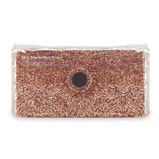 2KG Sterile Rye Grain Spawn - Large Scale Growing | Premium Mushroom Substrate UK