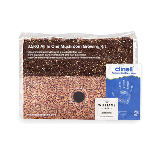 3.5KG XXL All In One Mushroom Growing Kit - Maximum Yields | Serious Growers UK