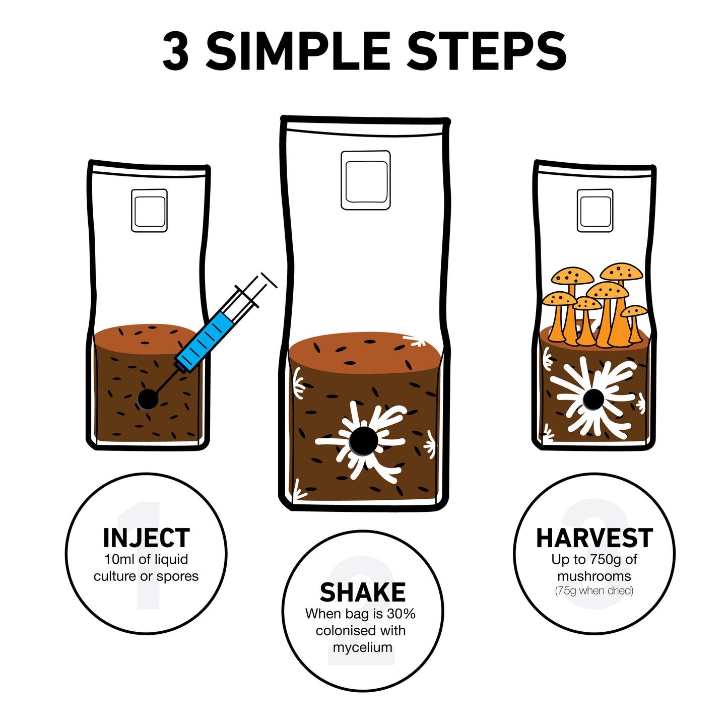 Substr8™ Inject & Forget Mushroom Growing Kit 1.5KG - Beginner Friendly | Zero Maintenance Growing UK