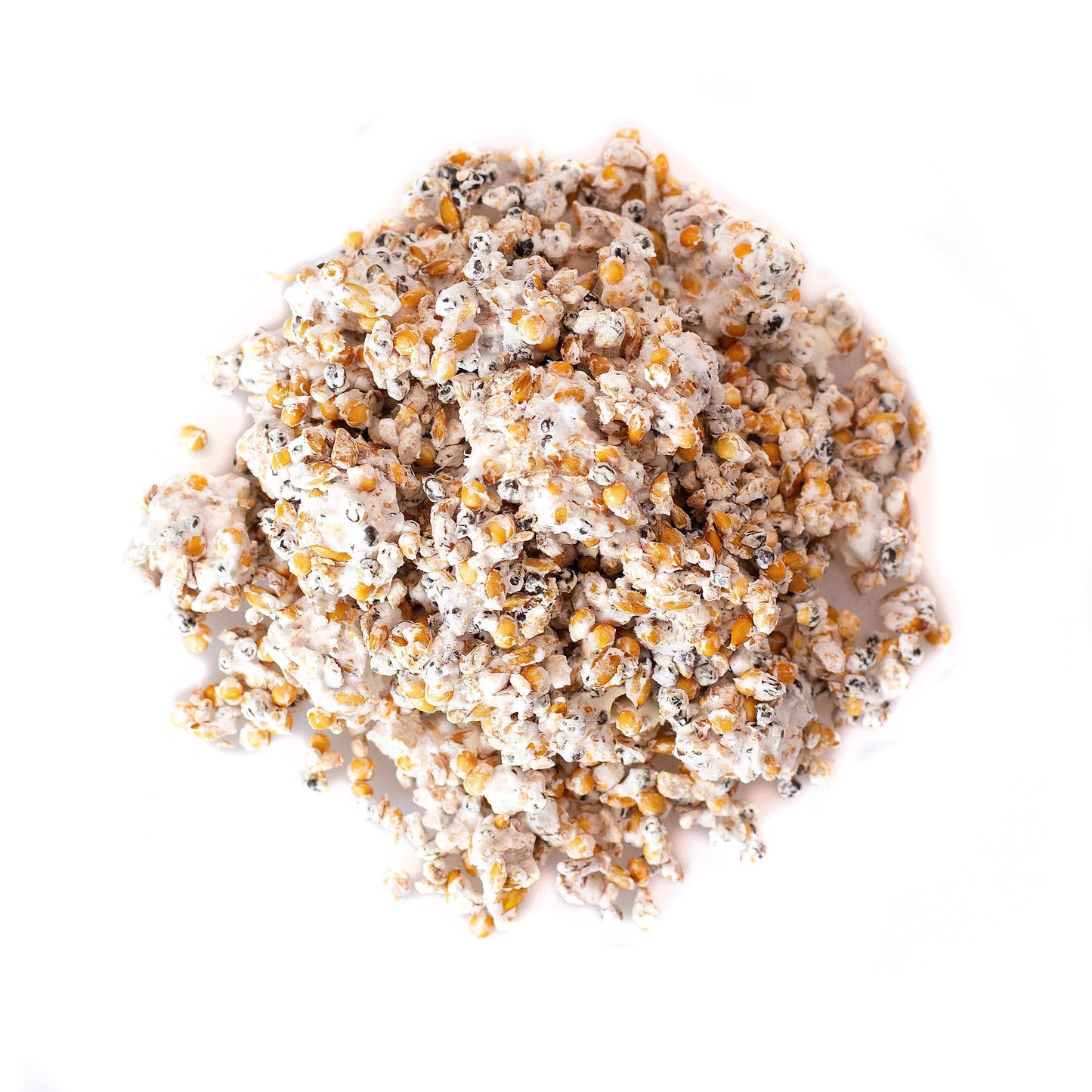 Grain Spawn - Various Species