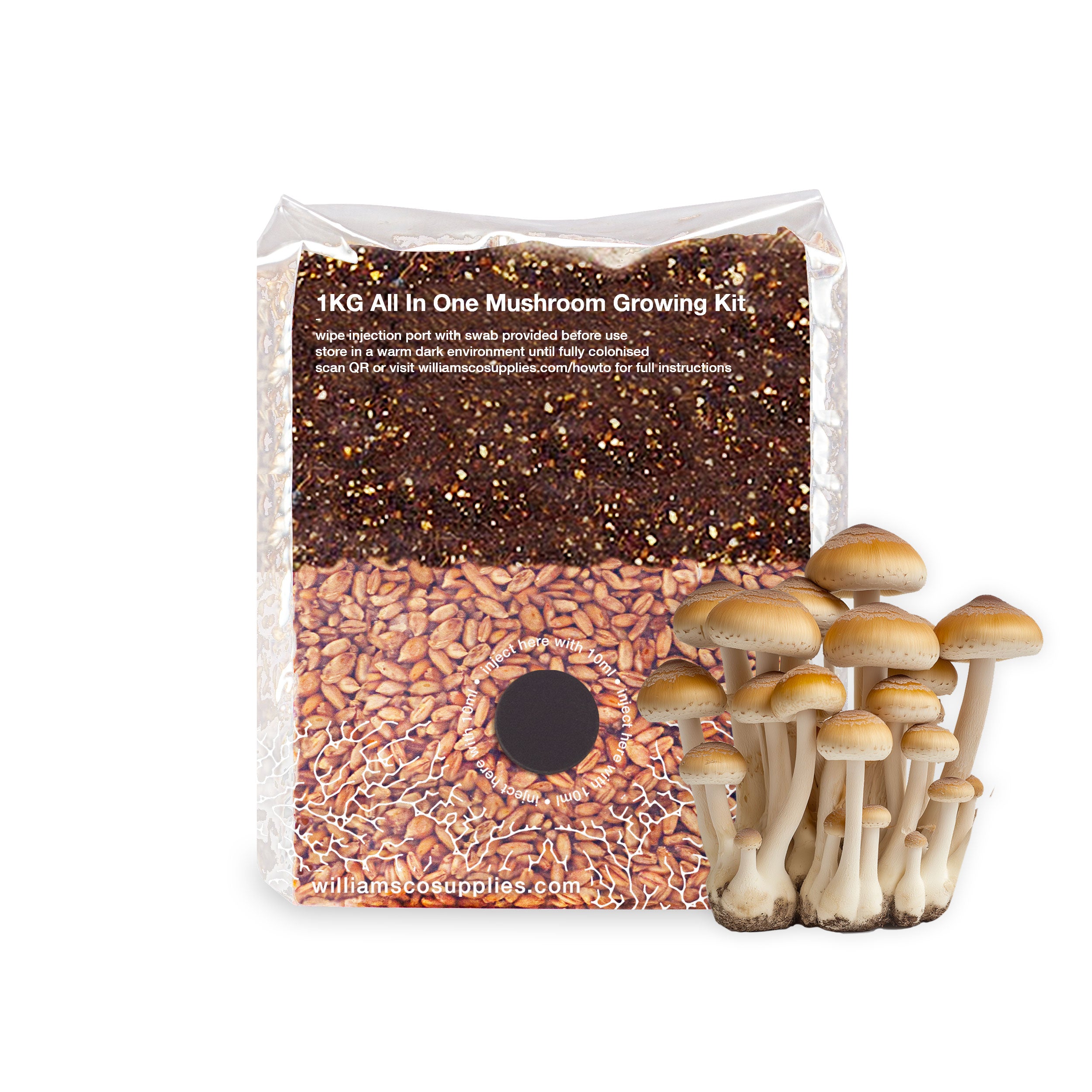 1KG All In One Mushroom Growing Kit