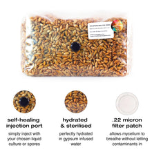 Load image into Gallery viewer, 1KG Sterilised Rye Grain | SAVE UP TO 30%
