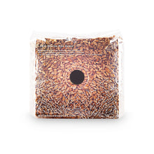 Load image into Gallery viewer, 1KG Sterile Organic Rye Grain
