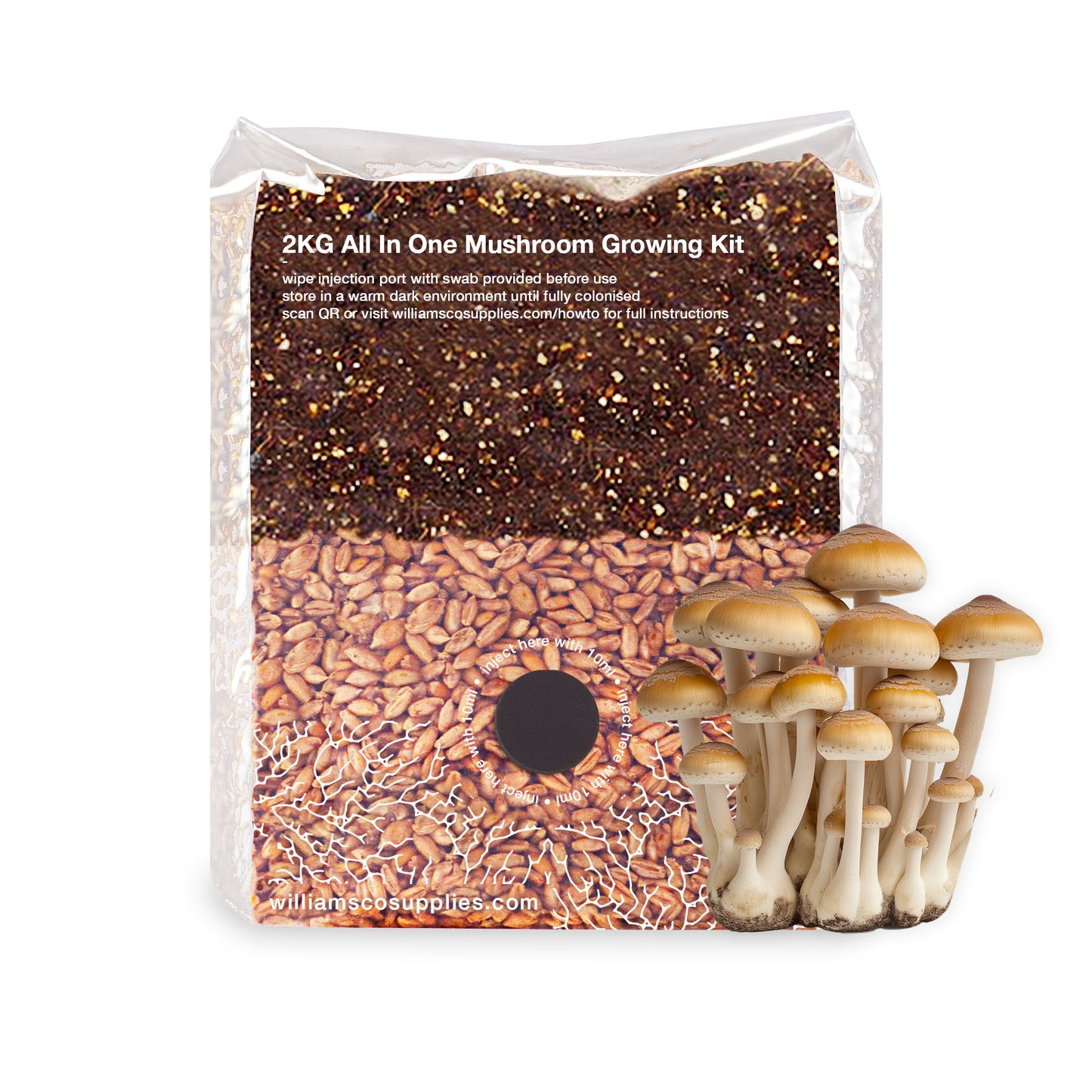 2KG All In One Mushroom Growing Kit