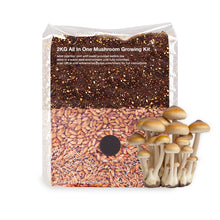 Load image into Gallery viewer, 2KG All In One Mushroom Growing Kit
