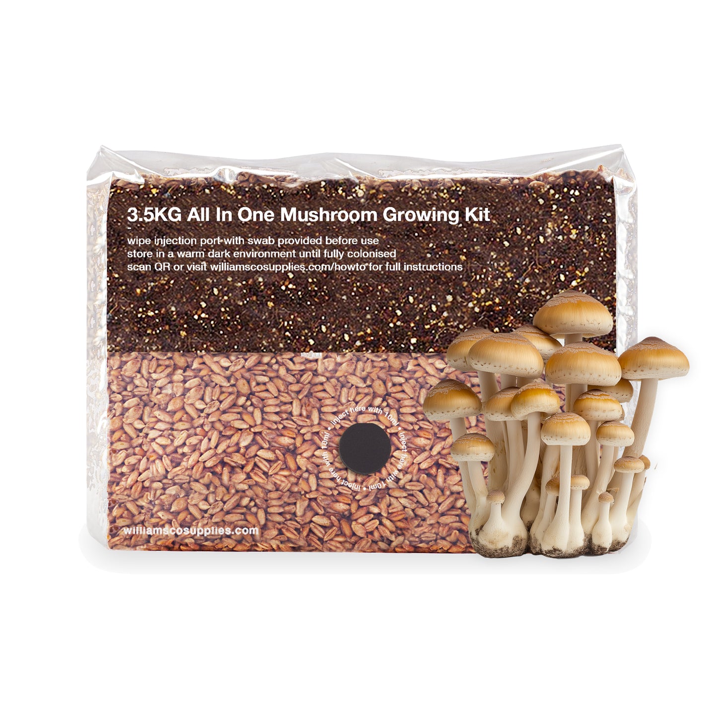 3.5KG XXL All In One Mushroom Growing Kit