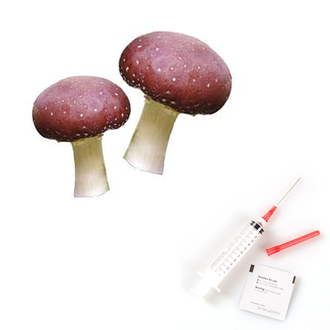 Wine Cap Mushroom Liquid Culture | Stropharia Rugosoannulata