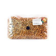 Load image into Gallery viewer, 1KG Sterilised Rye Grain for Mushroom Spawn
