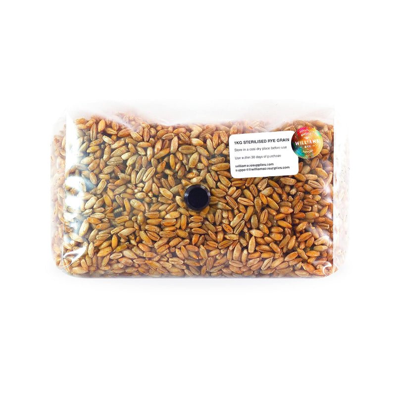 1KG Sterilised Rye Grain for Mushroom Spawn